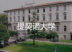 提契諾大學